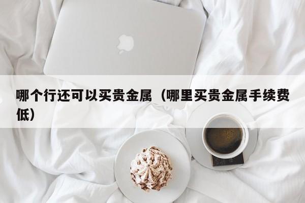 哪个行还可以买贵金属（哪里买贵金属手续费低）