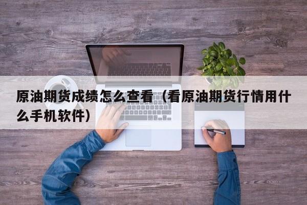 原油期货成绩怎么查看（看原油期货行情用什么手机软件）