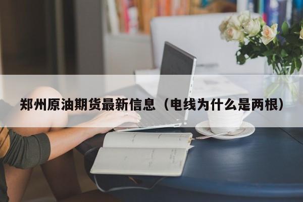 郑州原油期货最新信息（电线为什么是两根）